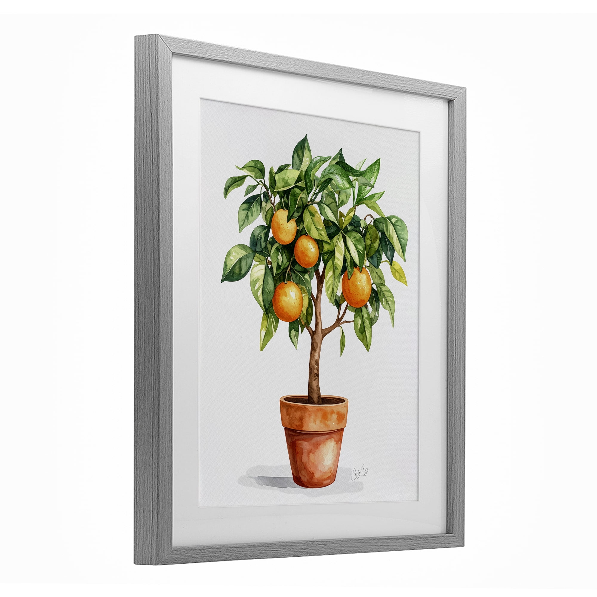Stupell Industries Potted Orange Tree Gray Framed Print Under Glass, design by Shelly Craig