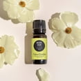 thumbnail image 2 of Edens Garden Breathe Easier Essential Oil Blend- 100% Pure Premium Grade, Undiluted, Natural, Therapeutic, Aromatherapy, The Best for Skin, Humidifiers, Candle 30 ml (1 fl oz), 2 of 9