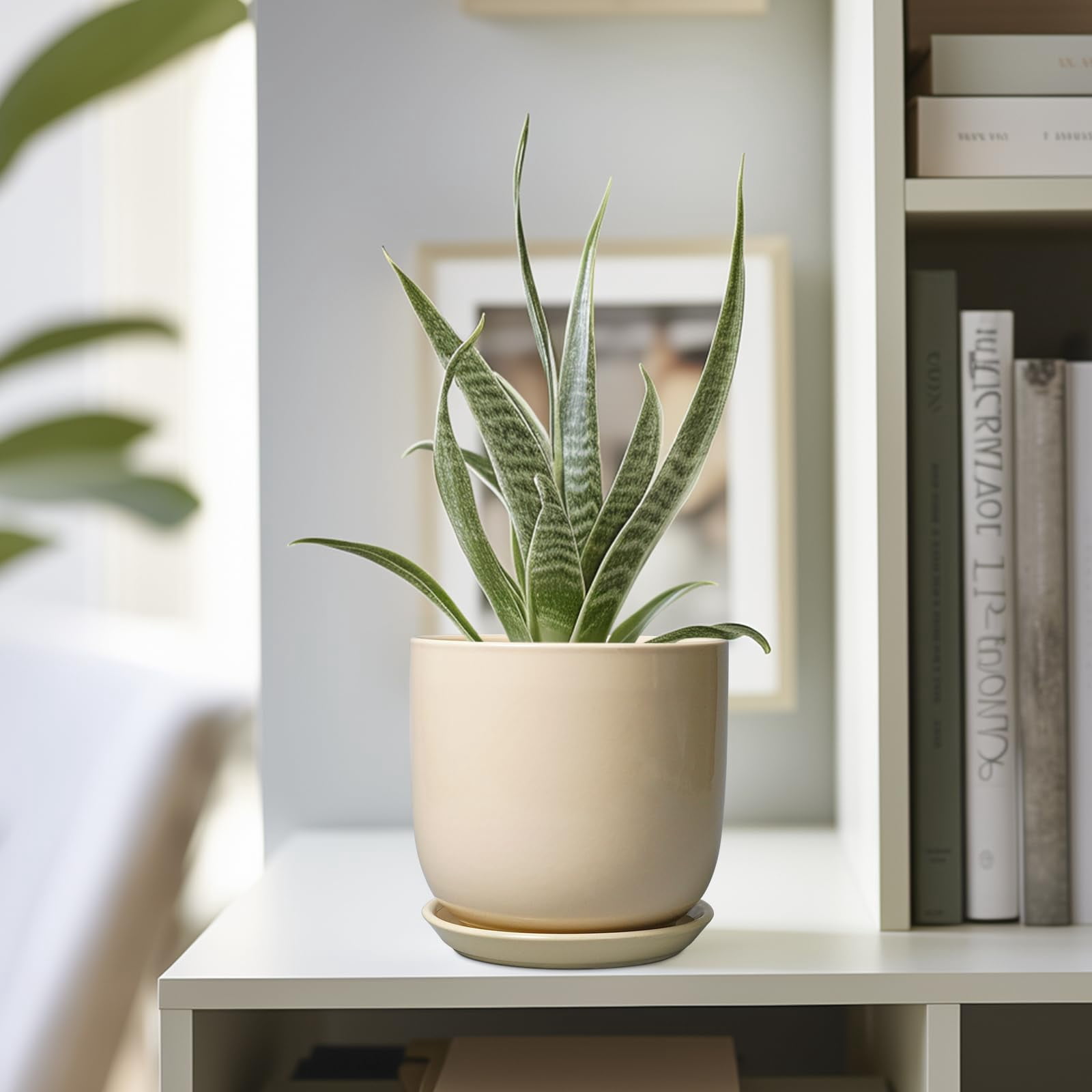 10 Inch Ceramic Planter with Drainage Hole and Saucer – Large Indoor Outdoor Flower Pot for Home Decor, Modern White Plant Pot