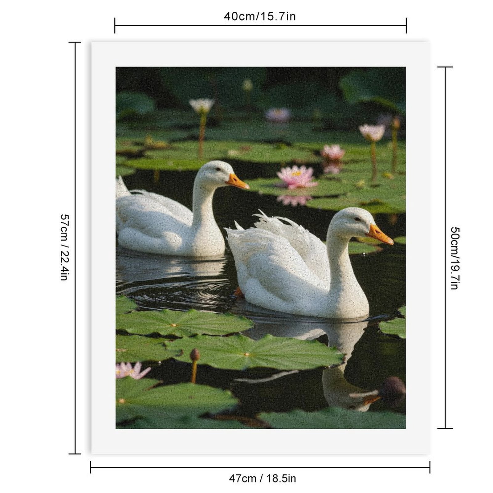 Paint by Numbers Kit for Adults, White Ducks Lilies Pond Tranquil Scene Paint by Numbers, Easy Paint by Numbers Kit for Adults Beginner, DIY Adult Paint by Number Kits on Canvas, Home Decor