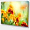 thumbnail image 2 of Orange Tagetes Fleurs de Souci - Impression sur Toile Florale, 2 of 3