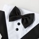 thumbnail image 5 of Arnés Chaleco De Esmoquin for Perro - Traje Formal, 5 of 6