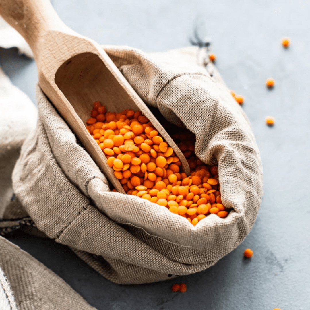 Lentil, Red Split, 40LB Emergency Bucket, USDA Certified Organic & GMO Free, Sustainable Farming Practices-Mountain High Organics