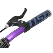 Dynacraft Inspire Girls 20 BMX Bike for Kids Ages 7-14