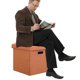 thumbnail image 5 of Pequeño Organizador Asiento Almacenamiento Reposapiés Pie Plegable Otomano Con Tapa Esponja 11.81x11.81x11.81 Pulgadas Plegables Pequeñas Otomanas para Sala Estar en Casa Oficina, 5 of 9