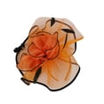 thumbnail image 6 of CAIXIA Fascinators Hat for Women Tea Party Headband Kentucky Derby Wedding Flower Cocktail Mesh Feathers Hair Clip, 6 of 8