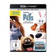 Pets (4K UltraHD) (+ Bluray)