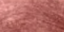 781 Nudes For Life