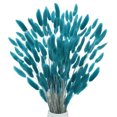thumbnail image 1 of Uxcell 180-Pack Hierba de Colas de Conejo 17 Pulgadas Hierba de Cola de Conejo Esponjosa Flores Secas para el Hogar/Boda [Verde Azulado], 1 of 1