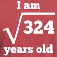 thumbnail image 3 of CafePress - 18Th Birthday Square Root T Shirt - Mens Comfort Colors Shirt, 3 of 5