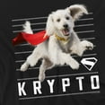 thumbnail image 3 of Superman 2025 Krypto Lines Kids T Shirt (4) for Toddler Boys and Girls, 3 of 6