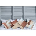 thumbnail image 4 of Ambesonne Throw Pillow Cover 4 Pack, , 24", Redwood Baby Blue and Tan, 4 of 7