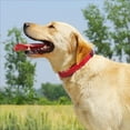 thumbnail image 2 of ORUYROP Glittering Basic Dog Collar, Comfy & Durable Dog Collar for Small Medium Large Dogs with Eco-Friendly Plastic Buckle, Adjustable Stylish Nylon Dog Collars, Fit Necks: 9.8-22.4‘‘ (L,, 2 of 7