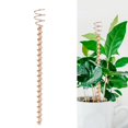 thumbnail image 2 of piezas de estacas para plantas de electrocultivo, estacas de cobre de 30 cm de largo para jardín, antena de electrocultivo para cultivo de plantas en interiores y exteriores, frutas y verduras, 2 of 5