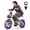 Mint Green+Black, variant on Tamobyke T16 Electric Bike for Teens&Adults,1000W 30mph 48V 15.6Ah Ebike,16" Fat Tire E-Mountain Bikes,Hydraulic Brakes with Full Suspension,Fits Riders 5'0"-5'7",UL2849