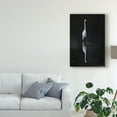 thumbnail image 3 of Trademark Fine Art 'Elegant Egret I' Canvas Art by David Drost, 3 of 4