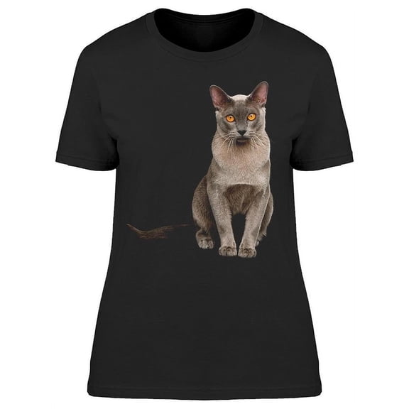 Adorable Cat Looking At Front T-Shirt Women -Image by Shutterstock, Female Medium