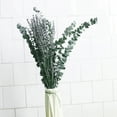 thumbnail image 4 of Dried Eucalyptus & Lavender Flowers Bundles for Wedding Home Office Decoration, No-watering Eucalyptus Bundle Festival Supply, 4 of 6