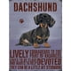 thumbnail image 1 of Cuadros Decorativos Kits de pintura de diamante 5D DIY Cuadro de mosaico de perro de taladro redondo completo (B4435) DQrwqpou Nuevos Originales, 1 of 5
