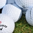 thumbnail image 5 of Glorious Golfers Recycled Callaway Diablo, 5 of 8