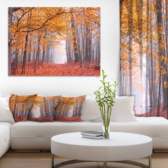 Beaux Arbres avec Feuilles Tombées