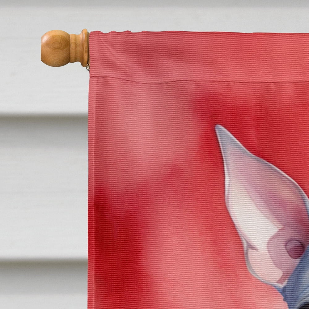 American Hairless Terrier My Valentine House Flag 28 in x 40 in