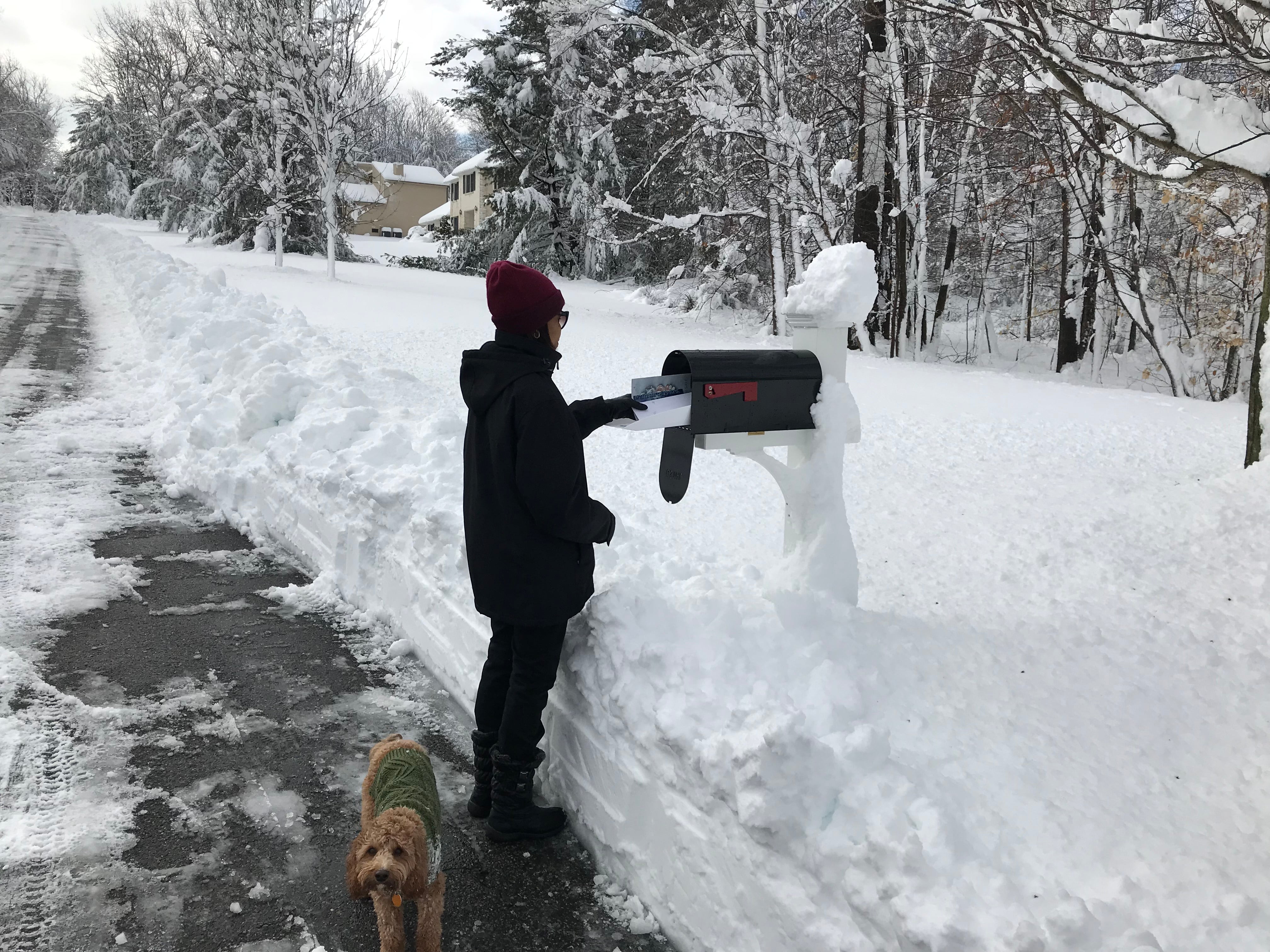 My Mail Crate Large Sliding Mailbox Tray, Keeps mail dry, Accessible from car or wheelchair