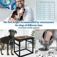 thumbnail image 2 of Sunmeyke Stainless Steel Elevated Dog Bowls Stand, Adjustable Raised Dog Bowl for Medium, Large Sized Dogs, with 4L(135 OZ/17 CUPS)Perfect Dog Food Bowls, 5 Neater Heights, 2 of 6