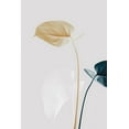 thumbnail image 2 of 1x Studio III 13x18 Gold Ornate Wood Framed with Double Matting Museum Art Print Titled - Monstera Creative 20, 2 of 4