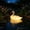 A, variant on Realistic Floating Goose Garden Statue,Solar Powered Floating,Waterproof Blow Floating Bird Statue With Warm Night Light For Swimming Pool, Koi Pools,Bird Deterrent Ornament.