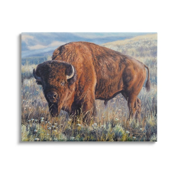 Stupell Industries Bison Grazing on Prairie Animals & Insects Photography Gallery Wrapped Canvas Print Wall Art, 20 x 16
