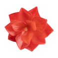 thumbnail image 1 of ¡Gran oferta! Flor de simulación suculenta hoja de perla escritorio decoración del hogar ramo de boda flores falsas, 1 of 2