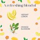 thumbnail image 3 of Ambientador Glade PlugIns Lemon Zest & Poppy 80 ml, 3 of 7