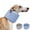 Blue, variant on Duuclume Dog Neck Brace After Surgery, E-Collar & Cone Collar Alternative for Dogs (Blue,S)
