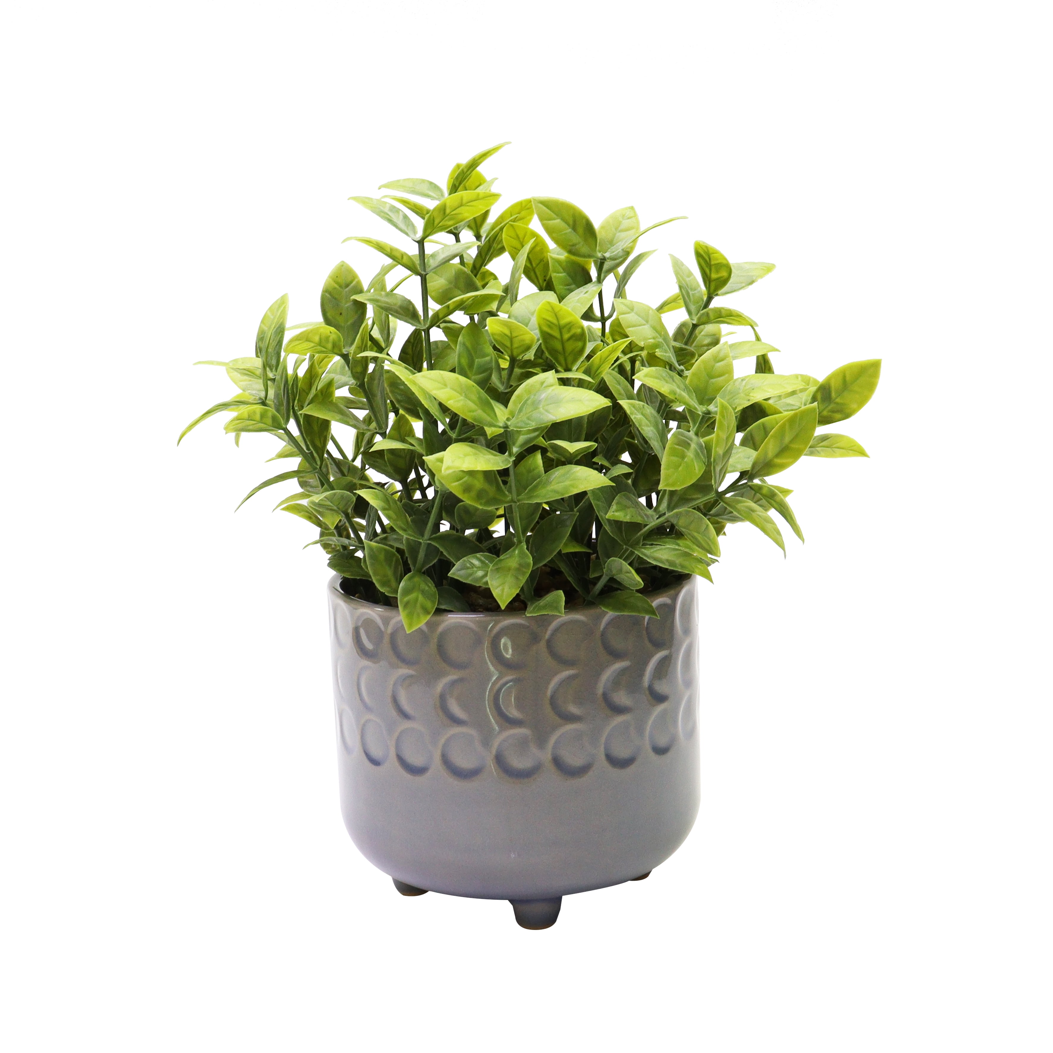 Nature's Mark 9”H Artificial Jade Plant in Gray Ceramic Pot