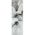thumbnail image 2 of Blaustein, Alan 11x24 White Modern Wood Framed Museum Art Print Titled - Magnolia - 2, 2 of 4