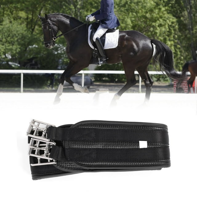 Cincha sin Rozaduras, Hebilla de Acero inoxidable, Piel sintética, Antideslizante, Curvada, Contrainda para compicetiónica de Abrenamiento, Cincha de Caballo Suave Con Textura