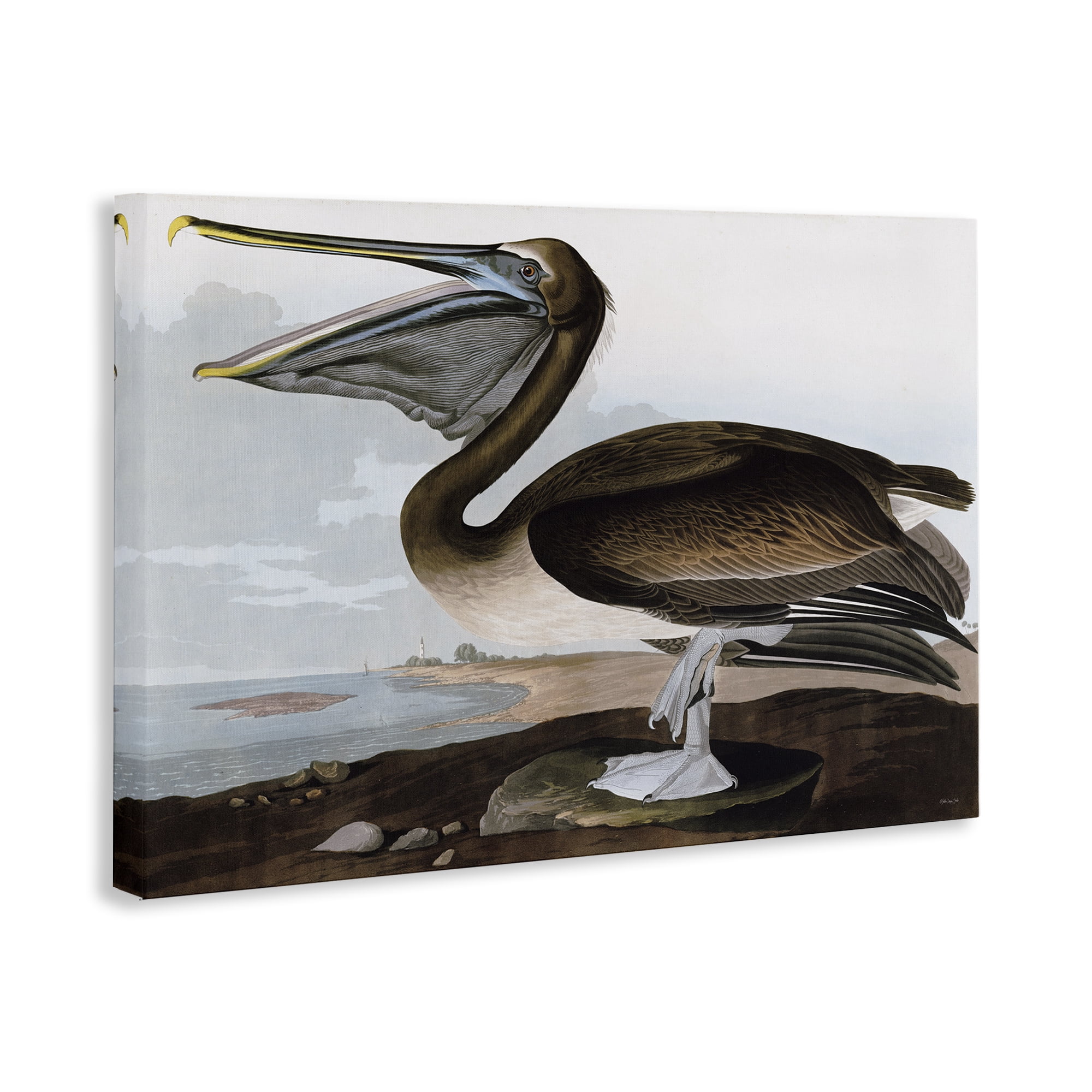 Stupell Industries Classic Pelican at Beach Animals & Insects Painting Gallery Wrapped Canvas Art Print Wall Art, 45 x 30