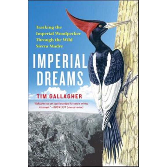 Pre-Owned Imperial Dreams : Tracking the Imperial Woodpecker Through the Wild (Paperback)