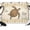 Light Brown, variant on 7x5ft Photo Backdrop, Ocean Seashells Soft Polyester Backdrop Curtains Photography Backdrops, Vintage Sailboats Compasses Vintage Map Brushed Background for Photoshoots Studio Video Portrait Parties