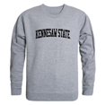 thumbnail image 1 of W Republic 543-320-HGY-01 Kennesaw State T-Shirt Col Rond University GameDay, Gris Chiné - Petit, 1 of 1