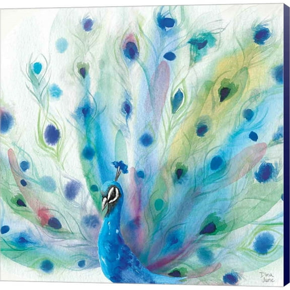 Great Art Now Peacock Glory V by Dina June, Canvas Wall Art, 12W x 12H