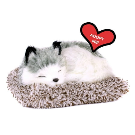 Perfect Petzzz Minis Alaskan Husky, Realistic, Lifelike Stuffed Interactive Plush Toy, Electronic Pets, Companion Pet Puppy with 100% Synthetic Fur