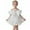 White, variant on HXWCHs Girls Party Dress Elegant Embroidered Tutu Gown for Girls Birthday Party Performance and formal Flower Girl Attire White 9-12Months