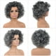thumbnail image 2 of New Chic Afro Kinky Curly Mujer Pelucas Cintura Natural Peinado Sintético Plata Gris Mezcla, 2 of 5
