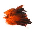 thumbnail image 3 of Plumas de gallo Soledad para manualidades adornos suministro de disfraces artesanales 4.7 - 7 pulgadas paquete de 50, 3 of 10