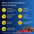 Blueprint Bryan Johnson Longevity Protein HYZ01 Nutty Pudding Protein