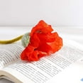 thumbnail image 3 of Hongchun 8 Pcs Artificial Long Stem Orange Poppies, 3 of 5