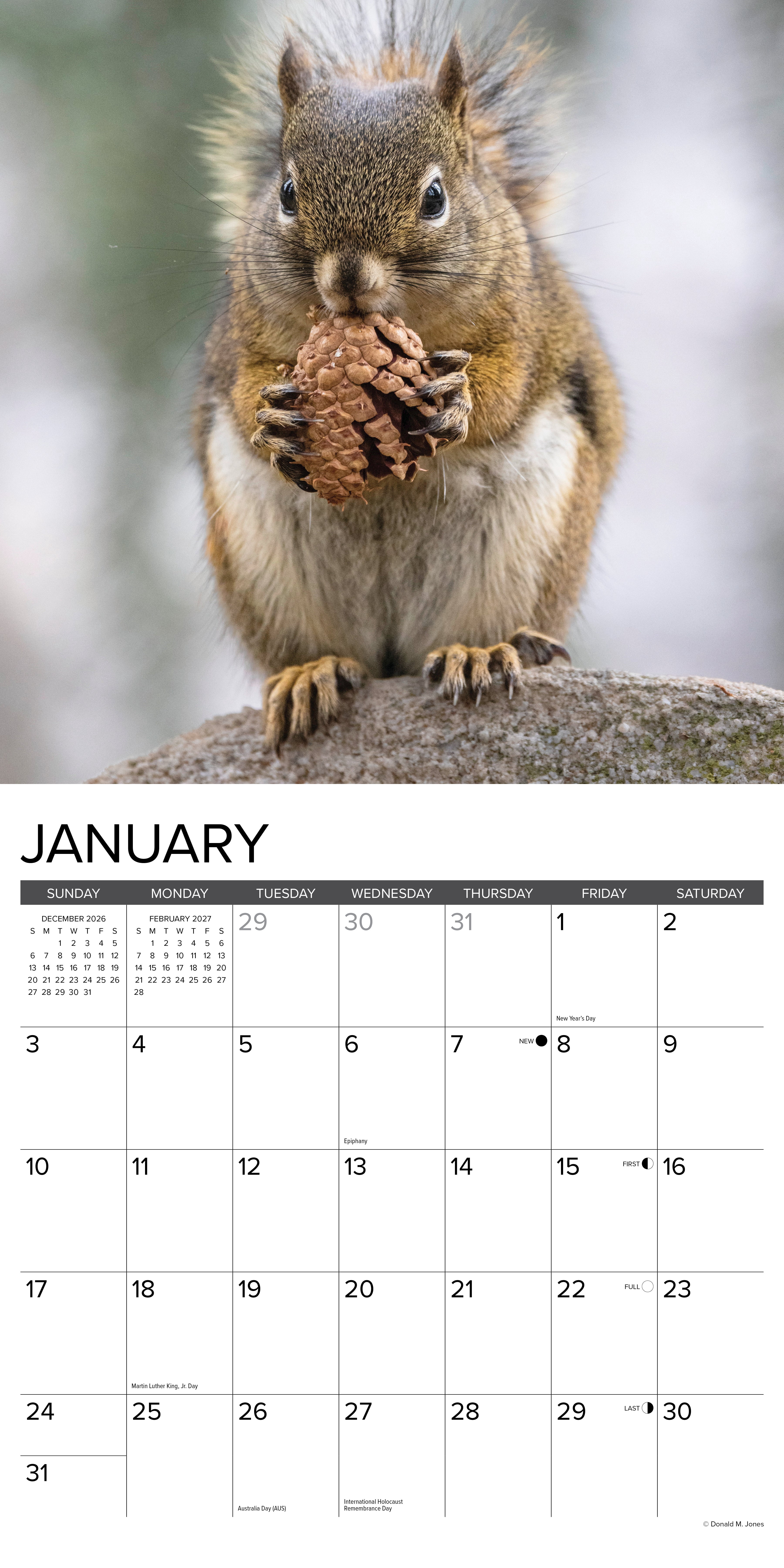 Willow Creek Press, Squirrels 2027 Wall Calendar