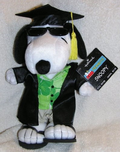 graduation stuffed animal walmart